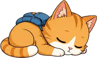Спящий котик Айтижан